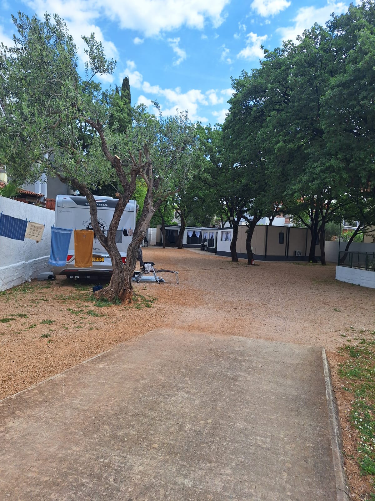 Camp